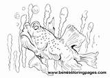 Goby Coloring sketch template