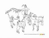 Goat Kidoti sketch template