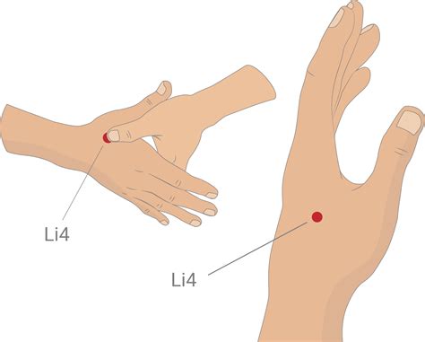 6 Acupressure Points For Stress And Digestion By Stephanie Wu
