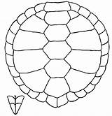 Turtle Shell Clipartbest Mp sketch template