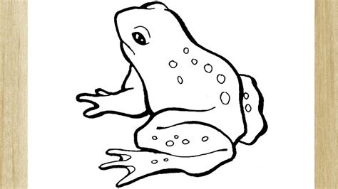 como desenhar um sapo facil   draw frog easy youtube