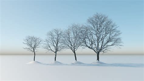 winter trees pack flyingarchitecture