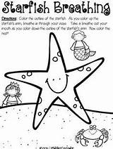 Breathing Starfish Cbt Counseling Exercises Learning Practice sketch template