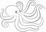 Octopus Coloring Pages Drawing Draw Cartoon Printable Outline Easy Step Template Print Drawings Sea Animals Fish Kids Line Octupus Sketch sketch template