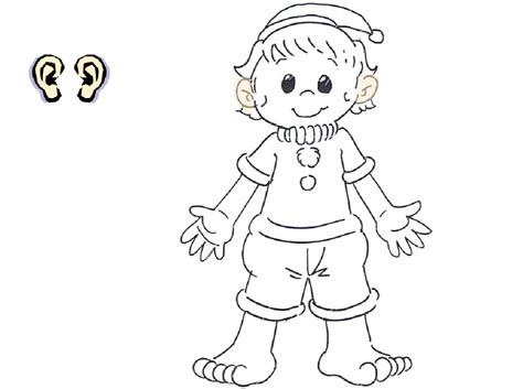 body parts  kids coloring pages  getdrawings