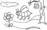 Mewarnai Lebah Hewan Binatang Disimpan Gambarmewarnai sketch template