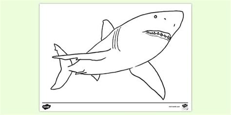 scary shark colouring page colouring sheets