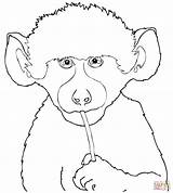 Baboon Baby Cute Coloring Pages Baboons Drawing Printable Rhino Ugly Animals Olive Elephant Age Supercoloring Categories sketch template