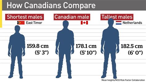 canadians   taller    fast   cbc news