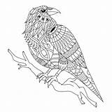 Mandala Crow Zentangle Stijl Lineaire Lineal sketch template