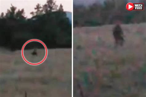 Bigfoot Spotted Onlookers Scream In Terror As Sasquatch Roams Field