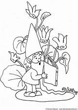 Coloring Pages Gnome Comments sketch template