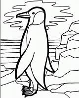 Coloring Penguin Emperor Pages Popular sketch template