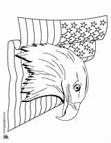 Flag Coloring Pages Eagle Bald American 4th Print July Color Z31 States United Printable Adult Online Kids Hellokids Trying Animals sketch template