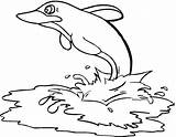 Coloring Clipartbest Dolphin Sea Super Clipart sketch template