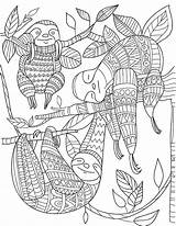 Sloth Faultier Zentangle Paresseux Mandalas Malen Erwachsene Ausmalen Faultiere Luiaard Zentangles Ape Insect Tierbilder Kleurplaten Adulte Druckvorlagen Abstractos Mandela Mignon sketch template
