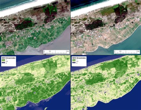 satellietfotos boven en beelden van de groenindex onder van terschelling op  mei links