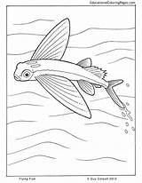 Fish Flying Coloring Drawing Pages Colouring Pi Life Animals Kids Choose Board Getdrawings sketch template