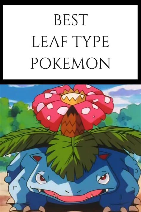 Best Leaf Type Pokemon Top Ten Picks [updated Today