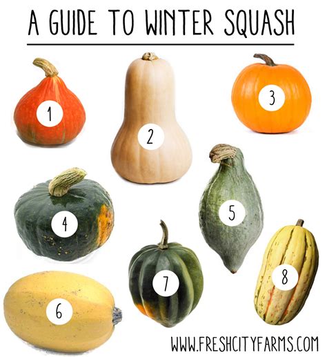 A Guide To Winter Squash Blog