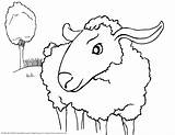 Coloring Sheep Lamb Kolorowanki Lion Owce Coloringhome Bestcoloringpagesforkids Pobierz Drukuj sketch template