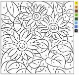 Sunflowers Florian Swallow sketch template