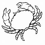 Colorat Desene Marins Crab Rac Crabe Cangrejo Planse Shells Seashell Krebs Raci Insecte Granchio Shrimp Ausmalen Ko Clipartmag Racul Scratch sketch template
