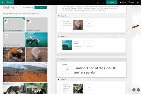 getting more from office 365 sway your it department