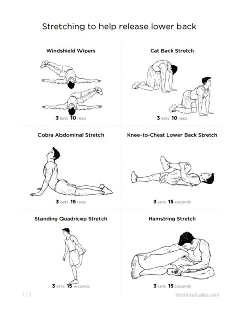 Pulled Back Muscle And Lower Back Strain Rehab Training