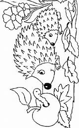 Kleurplaat Coloring Igel Herbst Ausmalbild Malvorlagen Egels Ausmalen Egel Igeln Colorat Dibujos Dieren Hedgehogs Ausdrucken Frisch Pooh Malvorlage Baum Herbstbild sketch template