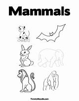 Mammals Coloring Choose Board sketch template