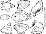 Conch Shell Coloring Getdrawings Drawing Pages Sea Getcolorings sketch template