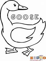 Coloring Pages Geese Goose Popular Printable sketch template