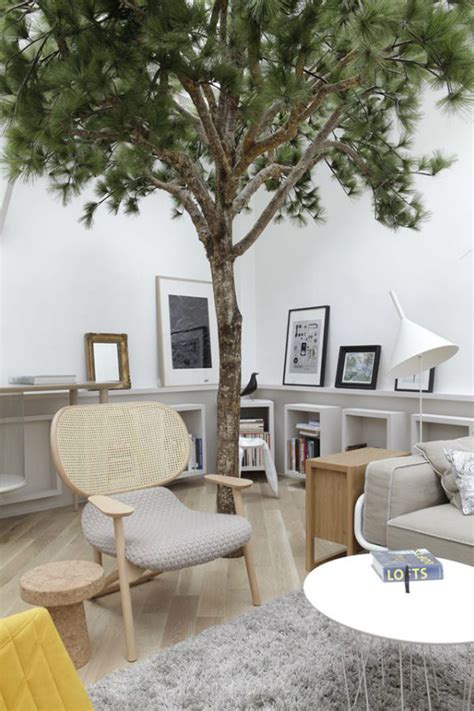 trend alert indoor trees mocha casa blog