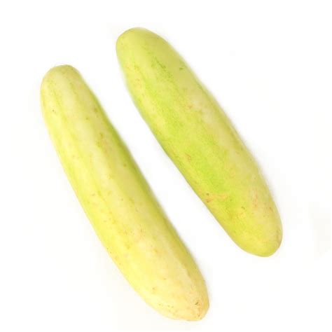 white cucumber buy white cucumber    quality  india godrej natures basket