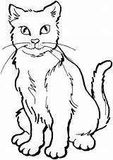 Coloring Para Gatos Cat Cats Pages Imprimir Colorir Colorear Desenhos Ausmalbild Warrior Gato Color Printable Dibujos Imagenes Beautiful sketch template
