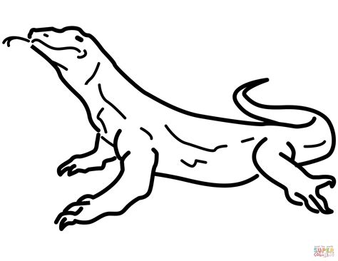 dibujos de reptiles  colorear imagui