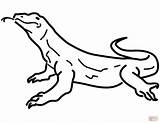 Coloring Komodo Pages Drawing Printable sketch template