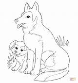 Coloring Puppy Pages Mother Dog Retriever Golden Printable Wolf Puppies Mom Lab Dogs Pups Clipart Color Her sketch template