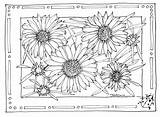 Sunflower Coloring Color Pages Clipart Sunflowers Library Sheets Clip Book sketch template