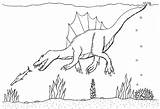 Spinosaurus Coloring Pages Other Spinosaurs Robin Great Sawfish After Dinosaurs sketch template