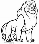Coloring Lion Pages Wardrobe Witch Popular sketch template