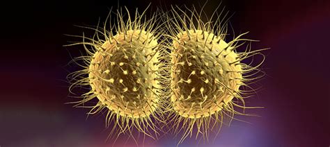 Untreatable Gonorrhea Hits Spotlight While Who Issues New