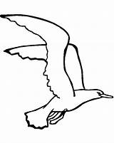 Gaviotas Seagull Gaviota Volando Coloring Aves Wandering Albatross Seagulls Resultado Clipartmag sketch template