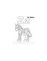 Coloring Handwriting Practice Zebra Zinnia Zz Letter Printable Pages sketch template