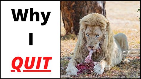 quit  lion diet    days lion diet review youtube