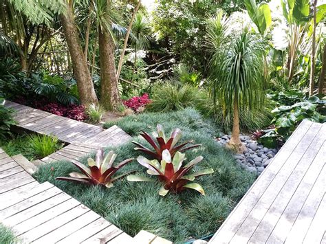 tropical garden landscape design garden care services