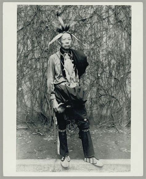 george  anderson delaware  native north americans native