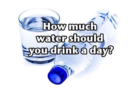 How Much Water Should You Drink A Day