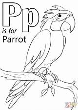 Pages Parrot Coloring Bird Printable Parrots Getcolorings Sheets Pair Color sketch template